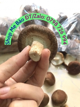 Nấm hương tươi, nấm đông cô tươi, nấm hữu cơ sạch giá tốt