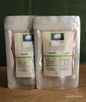 Ecosept - Men vi sinh xử lý bể phốt