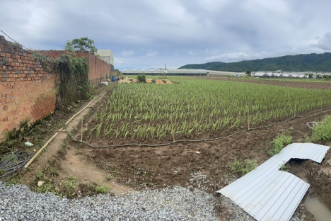 Bán đất 850 Triệu (10,5x19,1m) 202m2 thôn Nghĩa Hội - TT Thạnh Mỹ - Đơn Dương (Đất ven Đà Lạt)