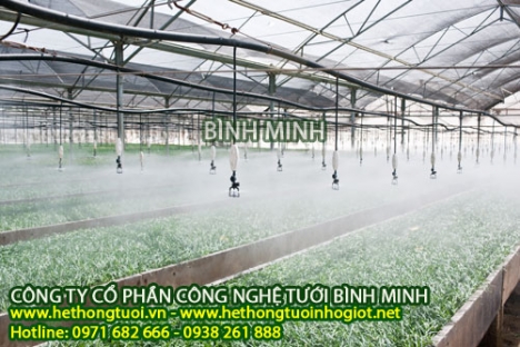 Đầu tưới phun sương, , hẹn giờ tưới phun sương, béc tưới phun sương, hệ thống tưới phun sương