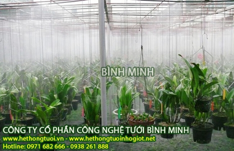 Đầu tưới phun sương, , hẹn giờ tưới phun sương, béc tưới phun sương, hệ thống tưới phun sương