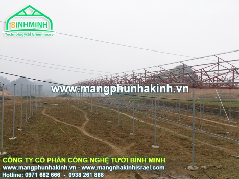 Quy trình xây dựng nhà màng, nhà màng trồng dưa lưới,trồng dưa lưới trong nhà kính