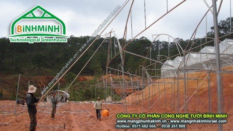 Quy trình xây dựng nhà màng, nhà màng trồng dưa lưới,trồng dưa lưới trong nhà kính