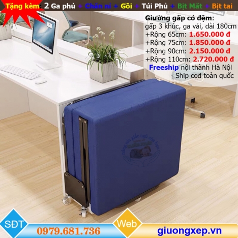 Giường gấp ngủ trưa văn phòng