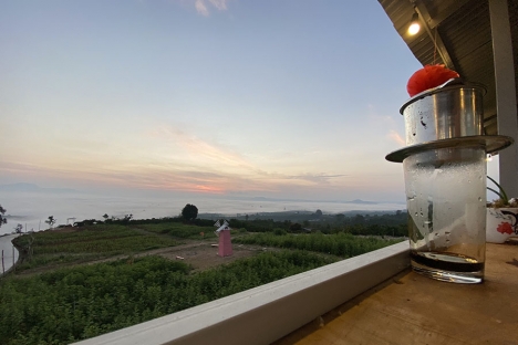 Bán Đất 11 Tỷ Gồm 9 Sổ (11x43m) TC 400m Tân Văn - Lâm Hà - Lâm Đồng (Đất ven Đà Lạt)