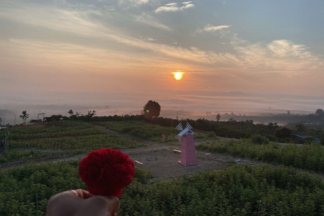 Bán Đất 11 Tỷ Gồm 9 Sổ (11x43m) TC 400m Tân Văn - Lâm Hà - Lâm Đồng (Đất ven Đà Lạt)