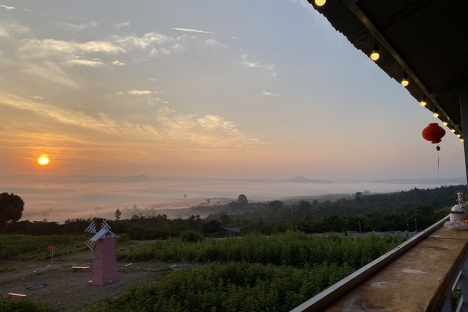 Bán Đất 11 Tỷ Gồm 9 Sổ (11x43m) TC 400m Tân Văn - Lâm Hà - Lâm Đồng (Đất ven Đà Lạt)