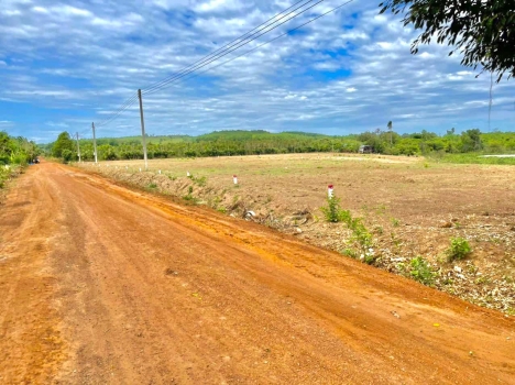 Bán lỗ lô đất diện tích 1000m2 ngang 20m