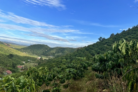 Bán Đất gộp 4 sổ 260tr/Sào Tổng 3,4ha Đất Đạ Đờn - Lâm Hà - Lâm Đồng (Đất Ven Đà Lạt)