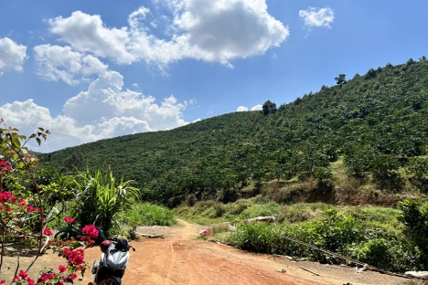 Bán Đất gộp 4 sổ 260tr/Sào Tổng 3,4ha Đất Đạ Đờn - Lâm Hà - Lâm Đồng (Đất Ven Đà Lạt)