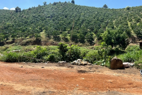 Bán Đất gộp 4 sổ 260tr/Sào Tổng 3,4ha Đất Đạ Đờn - Lâm Hà - Lâm Đồng (Đất Ven Đà Lạt)