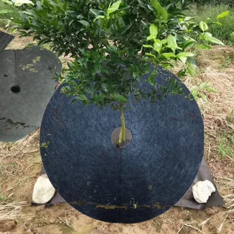 Cung cấp vải nỉ phủ nông nghiệp, phủ gốc cây