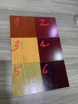 Mẫu cửa gỗ veneer năm 2022