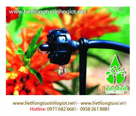 Công nghệ tưới nhỏ giọt tây ban nha, tưới nhỏ giọt azud tây ban nha, thiết bị tưới nhỏ giọt azud