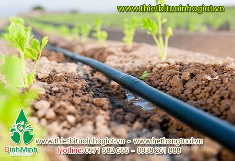 Hệ thống tưới nhỏ giọt,giá bán hệ thống tưới nhỏ giọt, nhỏ giọt bù áp, nhỏ giọt 8 tia
