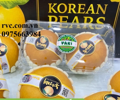 Cung cấp hộp nhựa PET đựng trái cây giá rẻ - Đảm bảo uy tín chất lượng