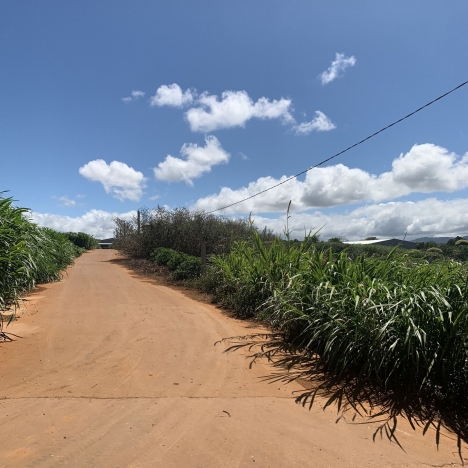 Bán đất Đạ Ròn 730 Triệu 7x25m Diện tích 175m2 tại suối thông B - Đạ Ròn - Thạnh Mỹ - Đơn Dương