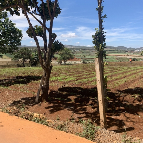 Bán đất Đạ Ròn 730 Triệu 7x25m Diện tích 175m2 tại suối thông B - Đạ Ròn - Thạnh Mỹ - Đơn Dương