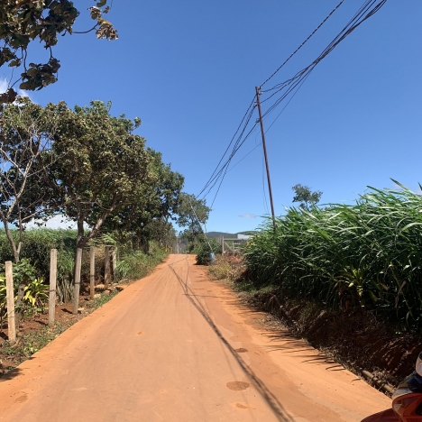 Bán đất Đạ Ròn 730 Triệu 7x25m Diện tích 175m2 tại suối thông B - Đạ Ròn - Thạnh Mỹ - Đơn Dương