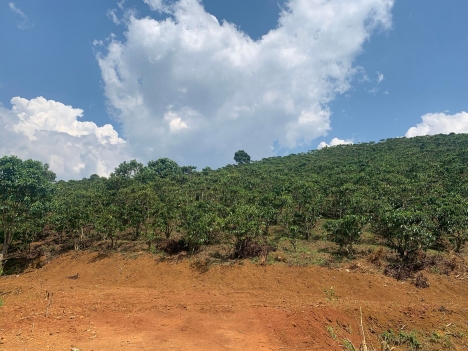 Bán Đất 3400m2 thôn 2 lộc tân bảo lộc lâm đồng