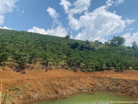 Bán Đất 3400m2 thôn 2 lộc tân bảo lộc lâm đồng