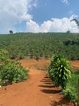 Bán Đất 3400m2 thôn 2 lộc tân bảo lộc lâm đồng