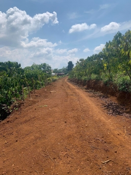 Bán Đất 3400m2 thôn 2 lộc tân bảo lộc lâm đồng