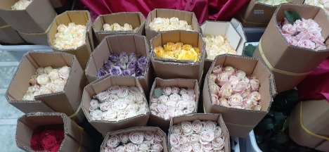 sửa chữa, lắp đặt kho lạnh bảo quản hoa tươi