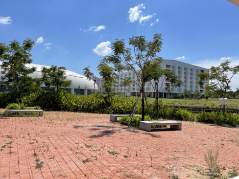 BÁN GẤP LÔ ĐẤT ĐẸP 300M2 ĐỐI DIỆN ĐẠI HỌC VIỆT ĐỨC - THỚI HÒA - BẾN CÁT - BÌNH DƯƠNG