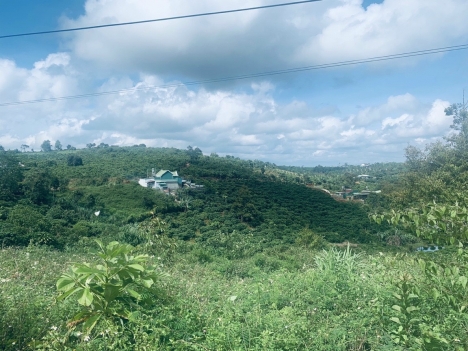 Bán Đất xã Dambri 497m2 Bảo Lộc Lâm Đồng