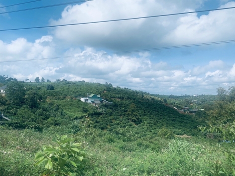 Bán Đất xã Dambri 497m2 Bảo Lộc Lâm Đồng