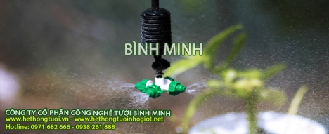 Vòi phun tưới nông nghiệp, thiết kế hệ thống tưới phun mưa, mô hình hệ thống tưới phun mưa