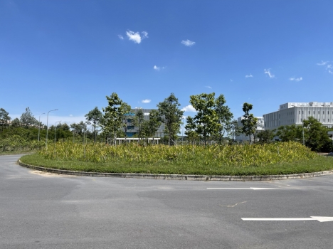 BÁN GẤP LÔ ĐẤT ĐẸP 300M2 ĐỐI DIỆN ĐẠI HỌC VIỆT ĐỨC - THỚI HÒA - BẾN CÁT - BÌNH DƯƠNG