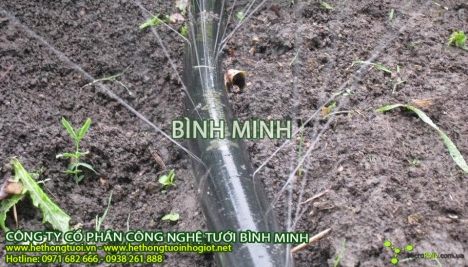 Béc tưới nông nghiệp,béc tưới phun mưa, béc tưới cây, tưới nông nghiệp, thiết bị tưới nông nghiệp