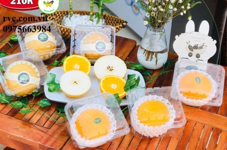 Hộp nhựa đựng trái cây P500D