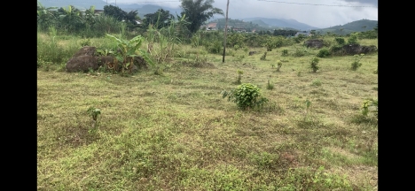 Bán đất đẹp thôn Ánh Mai 3 xã Đại Lào, Bảo Lộc