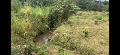 Bán đất đẹp thôn Ánh Mai 3 xã Đại Lào, Bảo Lộc