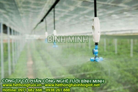 Béc tưới phun sương, bộ tưới phun sương tự động chọn gói, các lắp đặt hệ thống tưới phun sương