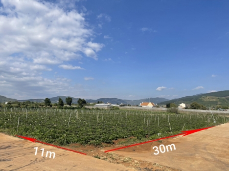 Bán Lô Liên Hiệp 2 mặt tiền Bê Tông 3,2 tỷ 11x30m sẵn 100m thổ cư tại Liên Hiệp Đức Trọng Lâm Đồng
