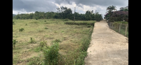 Bán đất đẹp thôn Ánh Mai 3 xã Đại Lào, Bảo Lộc