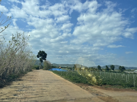 Bán Lô Liên Hiệp 2 mặt tiền Bê Tông 3,2 tỷ 11x30m sẵn 100m thổ cư tại Liên Hiệp Đức Trọng Lâm Đồng