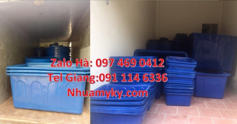 thùng nhựa dung tích lớn màu xanh, thùng chữ nhật đựng bột ngô Thùng nhựa vuông 750 lít đựng văn