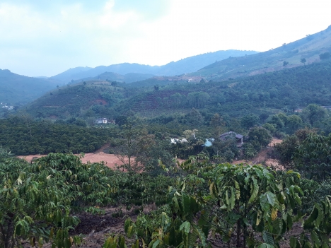 Bán lô đất thôn 11 Đại Lào, 8 sào 3,Bảo Lộc