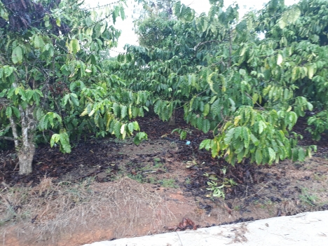 Bán lô đất thôn 11 Đại Lào, 8 sào 3,Bảo Lộc