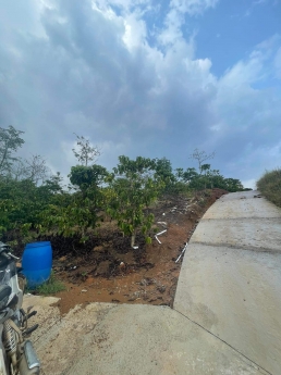 Bán lô đất thôn 11 Đại Lào, 8 sào 3,Bảo Lộc