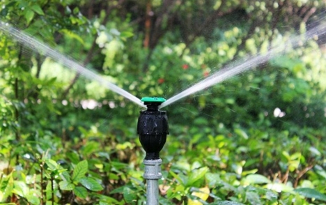 Vòi tưới phun mưa, vòi phun tưới cây ăn quả, vòi phun tưới rau, béc tưới nông nghiệp