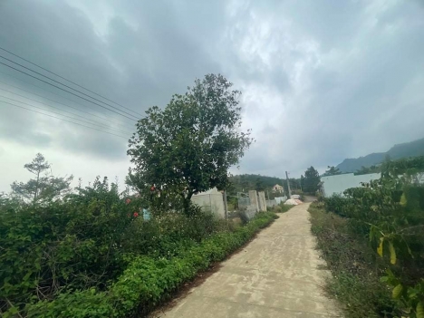 Bán lô đất hèm Ngô Tất Tố, 13x60 có 200m2 thổ cư,4,7 tỷ ,Bảo Lộc