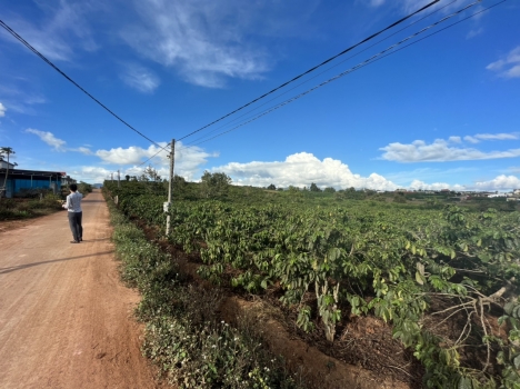 Bán Đất Khu Bồng Lai 2,45 Tỷ 10x62m Diện Tích 631m2 Thổ cư 150m2