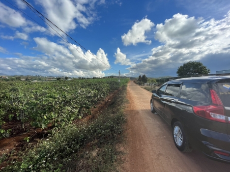 Bán Đất Khu Bồng Lai 2,45 Tỷ 10x62m Diện Tích 631m2 Thổ cư 150m2