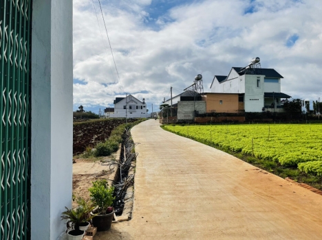 Bán Đất TT Liên Nghĩa 1,6 tỷ 5x30m Diện Tích 150,6m2 TC 75,3m